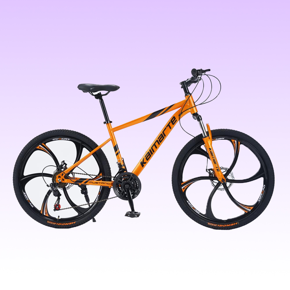 OEM 맞춤형 26 27.5 29인치 디스크 브레이크  - Mountain Biking Europe 리뷰 및 가격